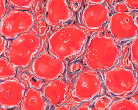seamless pattern with water. hand drawn bubble on clear aqua background. high resolution for design with a whimsical and enchanting red theme