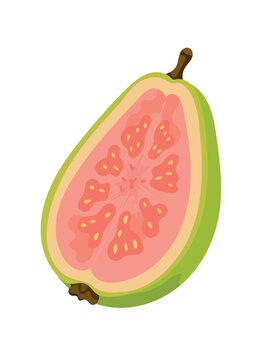 Flat vector illustration of a sliced guava isolated on a white background. Fresh tropical fruit with pink juicy flesh and seeds, ideal for healthy food and botanical designs.