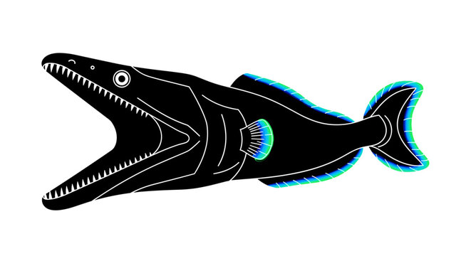 Illustration of a black viperfish with mouth open.
