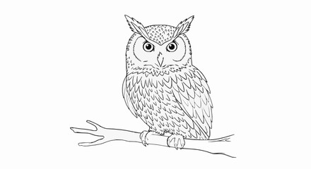 Obraz premium Hand drawn illustration of a majestic owl perched on a tree branch