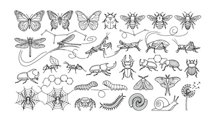 Detailed insect vector collection, hand-drawn bug illustrations, nature-inspired entomology artwork, black and white animal graphics for educational and design projects. © Jamie