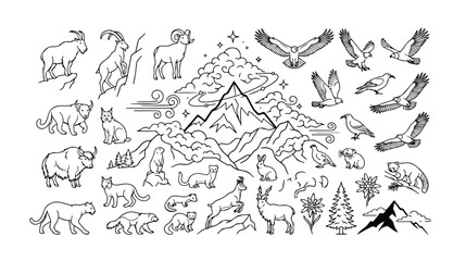 Fototapeta premium Mountain wildlife vector collection, hand-drawn alpine animals and birds, nature-inspired line art illustrations, outdoor adventure graphic resources.