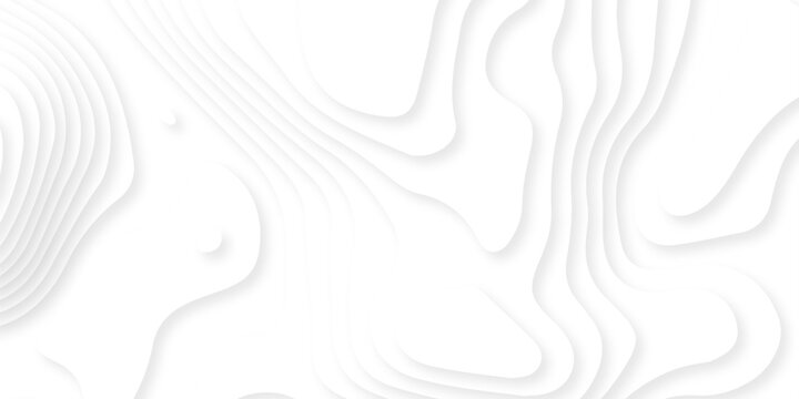 Abstract white paper cut background with lines. Background of the topographic map. White wave paper curved reliefs abstract background. Realistic papercut decoration textured with wavy layers.