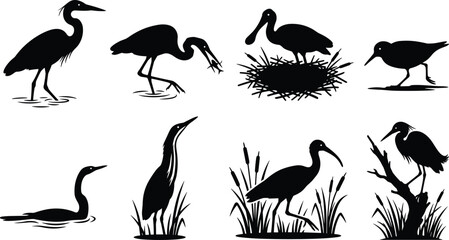 Fototapeta premium Collection of wetland water bird silhouettes featuring heron, egret, and ibis in natural habitats