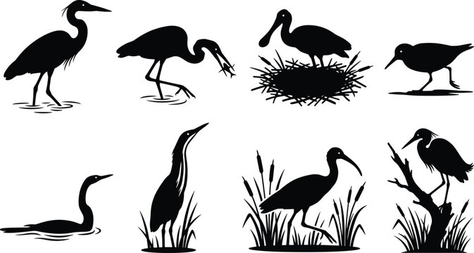 Collection of wetland water bird silhouettes featuring heron, egret, and ibis in natural habitats