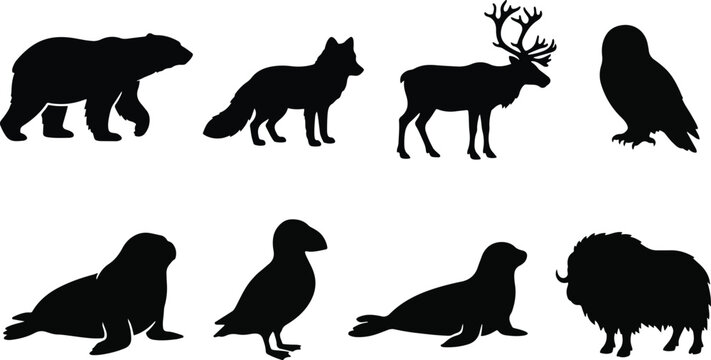 Arctic animals silhouette collection featuring polar bear fox reindeer seal puffin and musk ox shapes
