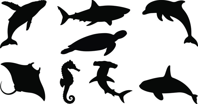 Sea animals silhouette icon set including humpback whale dolphin shark killer whale and manta ray shapes
