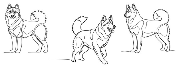 Siberian husky dogs in different standing poses continuous line art © Logan