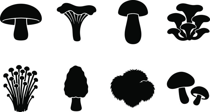 Edible mushroom silhouette vector icon set featuring chanterelle porcini enoki and morel fungi varieties