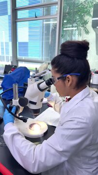 Female scientist looking through microscope in laboratory