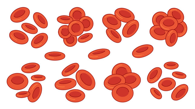 Set of red blood cells in different grouped arrangements