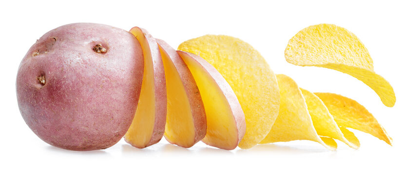 Golden crispy potato chips and fresh potato slices isolated on a white background. Concept of fresh organic produce "straight from the garden".