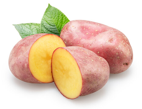 Whole and sliced raw red potatoes with potato leaves isolated on a white background. Organic food