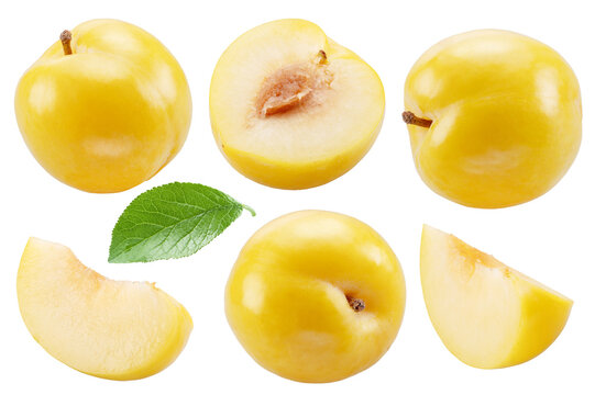 Collection of ripe yellow chinese plums and plum slices isolated on white background. File contains clipping paths.