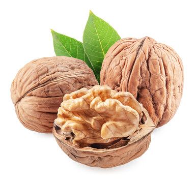 Whole walnuts and peeled walnut half with walnut leaves isolated on white background.