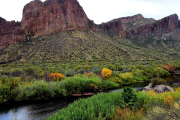 Obraz premium Salt River Recreation Area Arizona