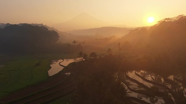 Aerial view of lush green rice terraces at sunrise with misty mountains in the background in Selomerto, Central Java, Indonesia.