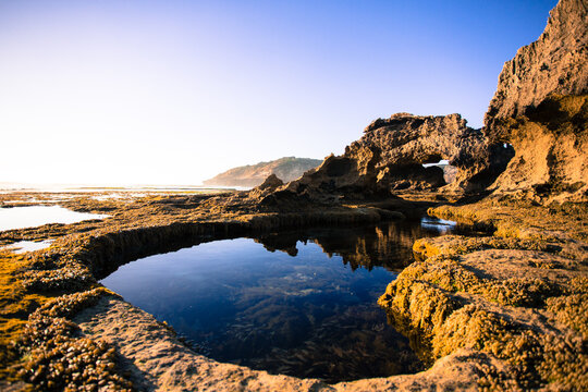 Calm tidal rock pool reflecting eroded coastal rock formations in golden morning light Australia