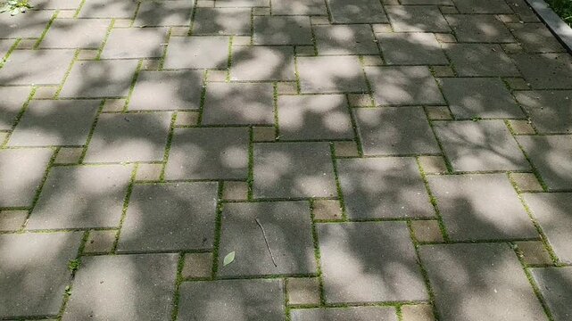 Paved walkway with grass and dappled shadows for blogs, websites, garden clipart, stationery design, landscape presentations, and outdoor education materials.