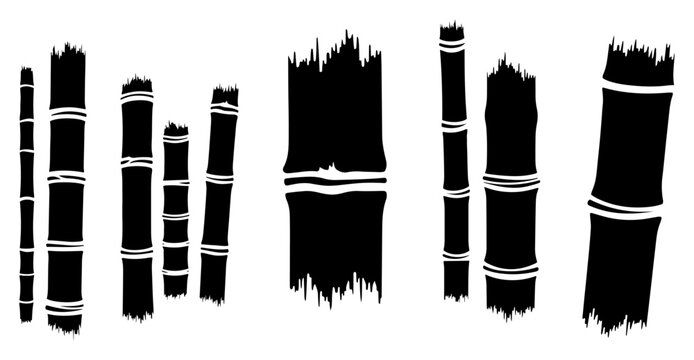 Bamboo stalk segments with broken split ends in graphic silhouette style