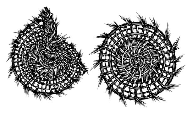 Woven straw nest circular rings made of grass in detailed sketch style