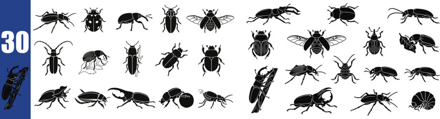 Beetle silhouettes a collection of insect shapes in black and white © Rudro
