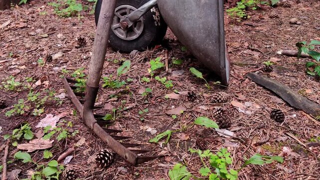 Garden rake and wheelbarrow in outdoor work area, landscaping equipment, rural maintenance activity concept.