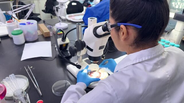 Female scientist examining biological specimen under a microscope