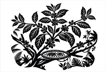 Fototapeta premium Coffee plant with beans and flowers black vector illustration on white background