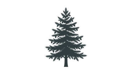 Obraz premium Dark green pine tree silhouette.