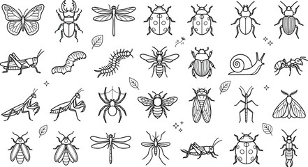 Insects and bugs line icon set featuring butterfly beetle dragonfly ladybug bee spider ant and caterpillar symbols © AKTAR