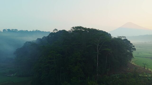 Aerial view of lush tropical forest covered in morning mist over the rural landscape of Selomerto, Central Java, Indonesia.