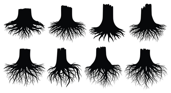 Tree Stump Silhouettes With Roots Black Vector Illustration On White Background