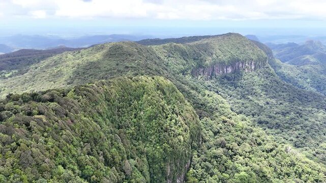 Panoramic View of Gondwana Rainforest and Ancient Caldera Slopes from Best Of All Lookout, Springbrook National Park