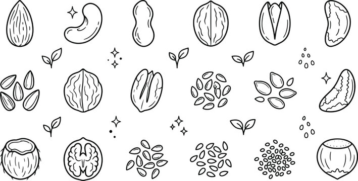 Edible nuts and healthy seeds line icon set featuring almond walnut peanut pistachio hazelnut and flaxseed symbols