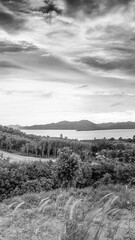 Fototapeta premium Aerial drone shot of Phuket’s countryside featuring tropical forests and small villages