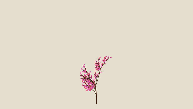 generative botanical l system bonsai 2d