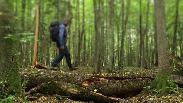 Side view of a hiker with a backpack stepping over a fallen tree