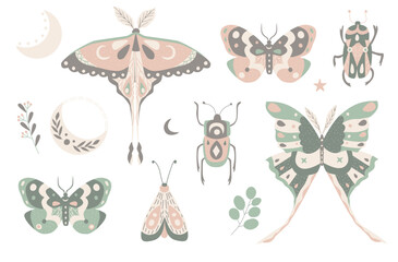 Naklejka premium Boho style night moths and forest insects clipart set. Cute scandinavian nursery vector illustration with butterflies, beetles, branches and moon.