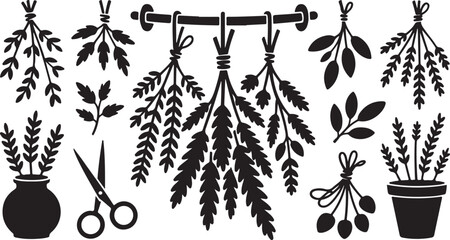 Fototapeta premium Herb garden, botanical icons, black silhouette, vector plants, herbaceous illustrations