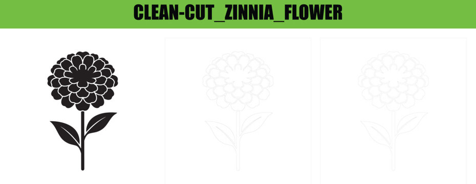 Clean cut zinnia flower with straight stem and pointed leaves for symmetrical garden illustration and symbols.