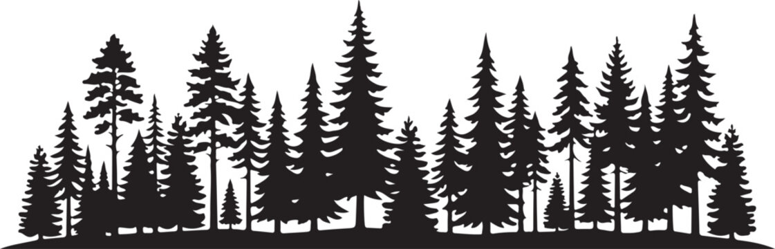 Black silhouette of a coniferous forest skyline with pine and spruce trees for nature landscape design
