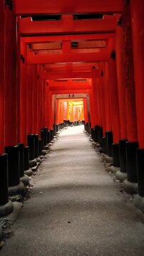 Vertical video walking through thousands of torii gates in Kyoto