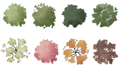 Set of watercolor trees in plan view for use in architectural drawings isolated on transparent background  © Manon