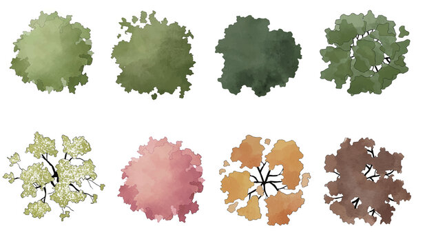 Set of watercolor trees in plan view for use in architectural drawings isolated on transparent background 