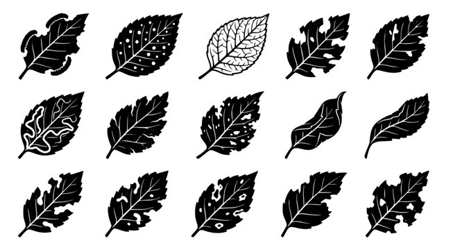 Detailed collection of assorted leaf silhouettes showing various plant species and organic shapes