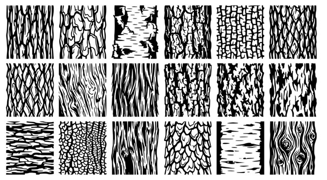Set of tree bark texture patterns in black silhouette style for natural surface and botanical graphic design elements