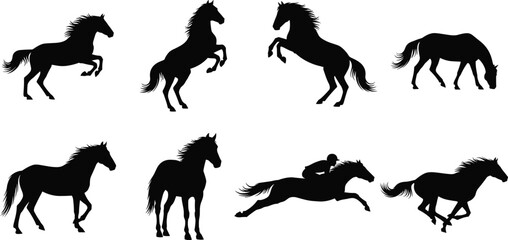 Fototapeta premium Horse Silhouette Collection with Running Rearing Grazing and Equestrian Poses