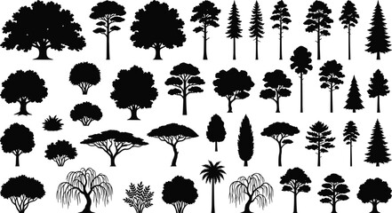 Fototapeta premium Tree silhouettes mega vector set with oak pine cypress palm and weeping willow forest plants collection