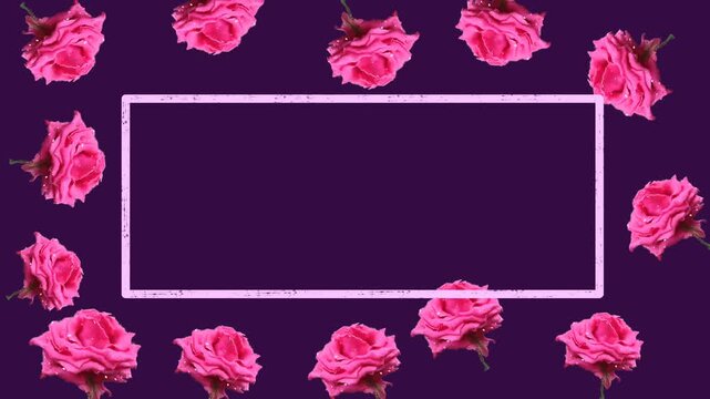 Romantic Pink Roses Frame Animated Background Video